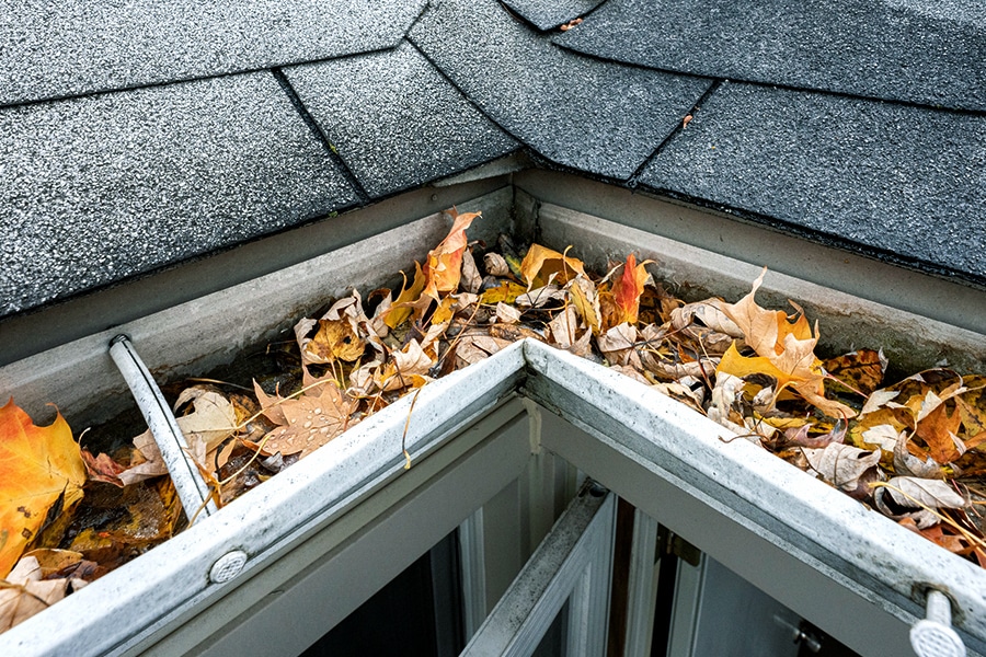 In the spring and fall, BCM Roofing maintenance services clean debris and fallen leaves from gutters