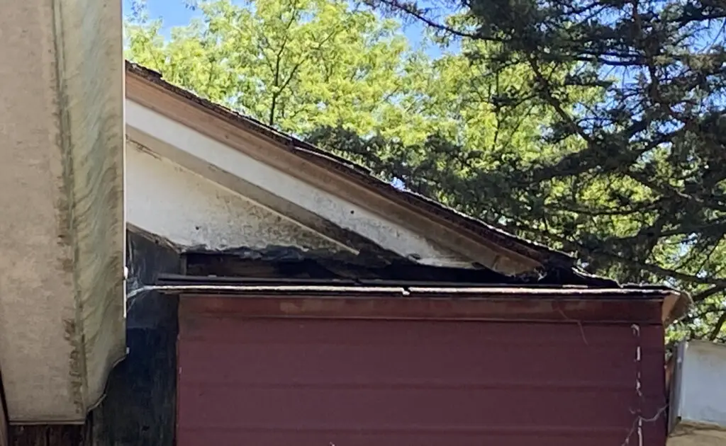 mold build-up is one of the signs you need a new roof