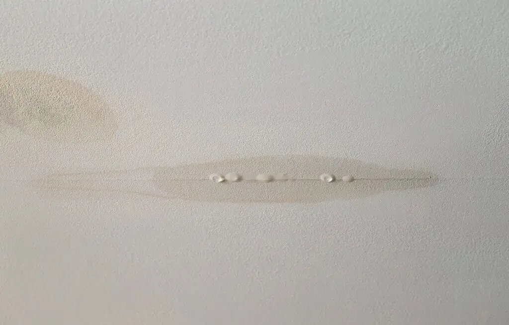 Roof leak repairs not yet performed on this drywall ceiling, causing damage to the home interior.