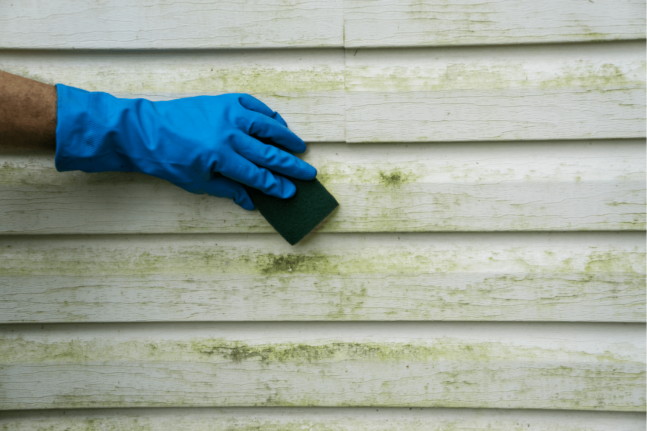 Michigan homeowner cleaning vinyl siding