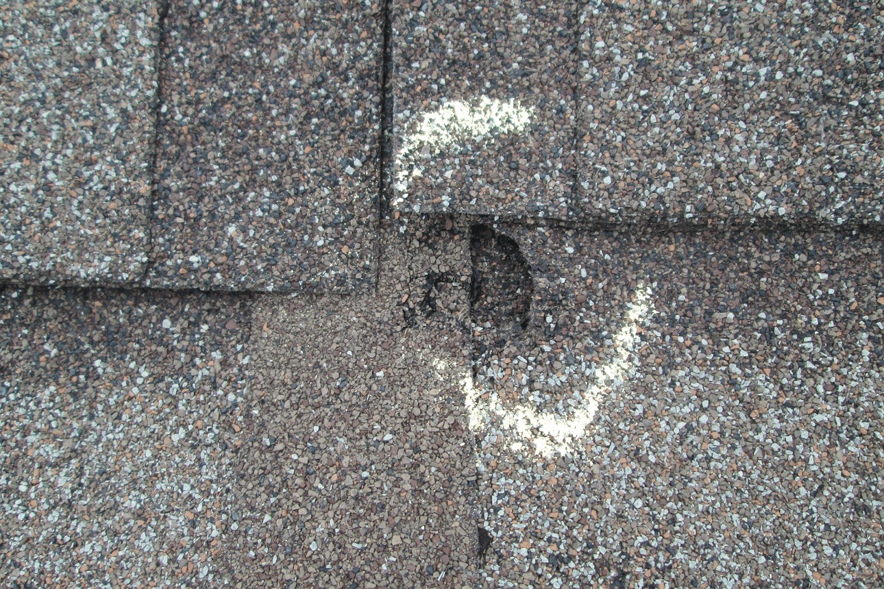 hail damage to shingle roof