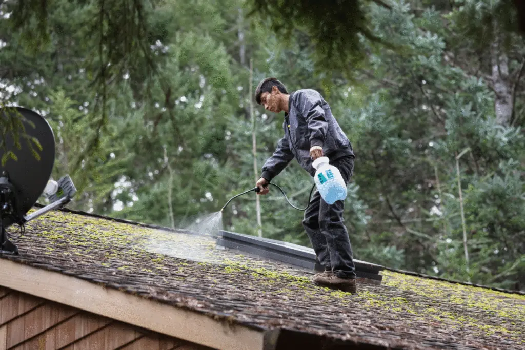 how to remove moss from roof without damaging shingles using a moss-killing solution