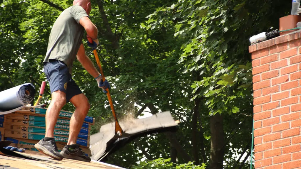 Roofer removing old asphalt shingles with a shingle shovel during a roof replacement in Flushing, MI